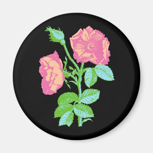 Pastel Roos Magneet (Voorkant)