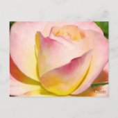 Pastel Roos tafel nummer Briefkaart (Achterkant)