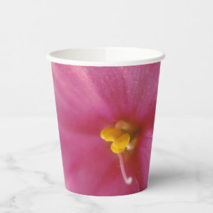 Pastel roze Afrikaanse Violet (Saintpaulia) Bloem Papieren Bekers