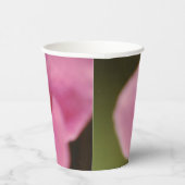 Pastel roze Afrikaanse Violet (Saintpaulia) Bloem Papieren Bekers (Rechts)