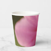 Pastel roze Afrikaanse Violet (Saintpaulia) Bloem Papieren Bekers (Voorkant)