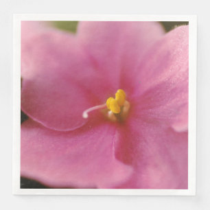 Pastel roze Afrikaanse Violet (Saintpaulia) Bloem Servet