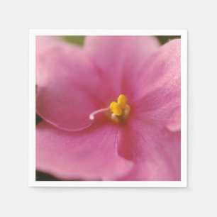 Pastel roze Afrikaanse Violet (Saintpaulia) Bloem Servet