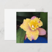 Pastel roze en gele orchidee (Voorkant / Achterkant)