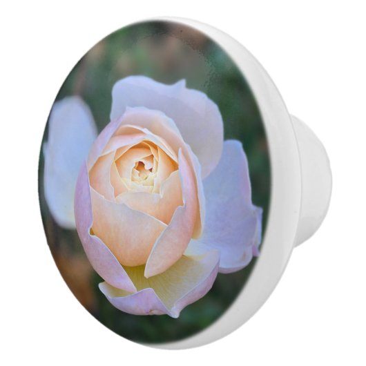 Pastel Roze Gele Roos Keramische Knop (Rechts)