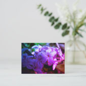 Pastel roze hyacint (Hyacinthus) Bloem Informatiekaartje (Staand voorkant)