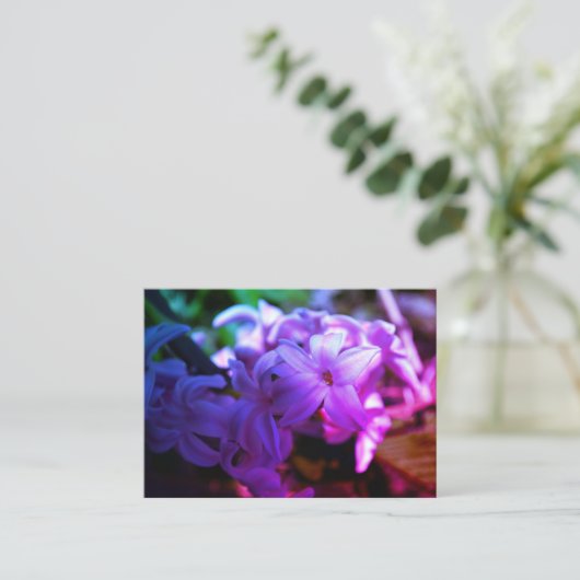 Pastel roze hyacint (Hyacinthus) Bloem Informatiekaartje (Staand voorkant)