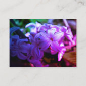 Pastel roze hyacint (Hyacinthus) Bloem Informatiekaartje (Voorkant)