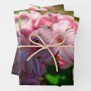 Pastel roze hyacint (Hyacinthus) Bloem Inpakpapier Vel