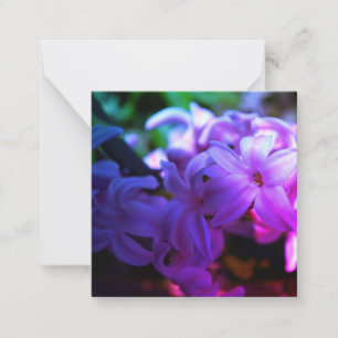 Pastel roze hyacint (Hyacinthus) Bloem Notitiekaartje