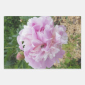 Pastel roze pioen en honing bij inpakpapier vel (Voorkant 2)