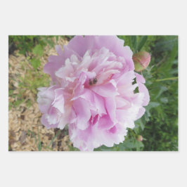 Pastel roze pioen en honing bij inpakpapier vel