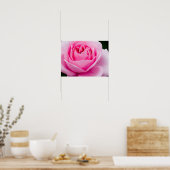 Pastel Roze Poster (Keuken)