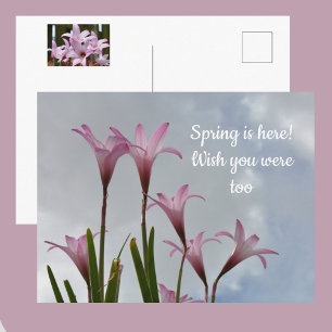 Pastel Roze Regenlelies Bloemen Jij Mis Briefkaart