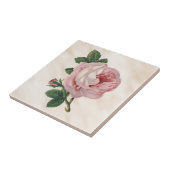 Pastel Roze Roos Satin Antiek Misty White Tegeltje (Zijkant)