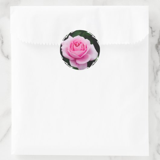 Pastel Roze Rose Stickers (Tas)