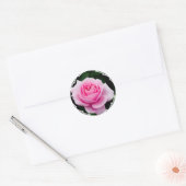 Pastel Roze Rose Stickers (Envelop)