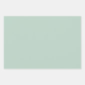 Pastel Roze Sinaasappel Groene Wrapping Paper Shee (Voorkant 3)