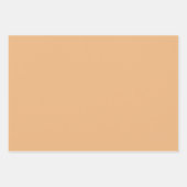 Pastel Roze Sinaasappel Groene Wrapping Paper Shee (Voorkant 2)