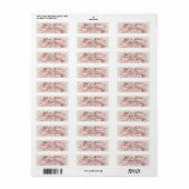 Pastel Rozen Retour Adreslabels Etiket (Full Sheet)