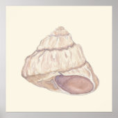 Pastel Seashell Beach House Art Poster (Voorkant)