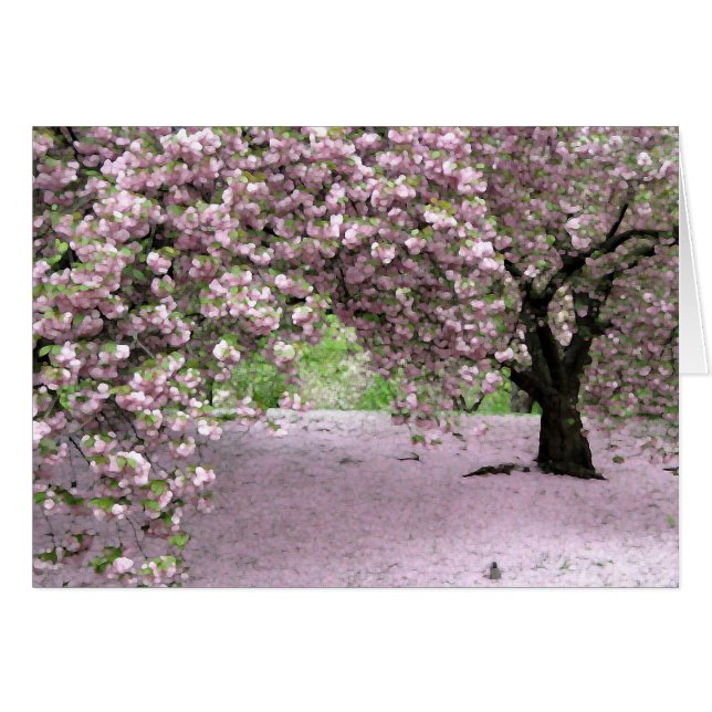 Pastel Serenity (Voorkant Horizontaal)