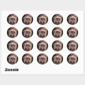 Pastel Shih Tzu Ronde Sticker (Vel)