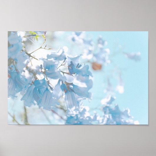 Pastel Soft Blue Jacaranda Tree Flowers Blossom Poster (Voorkant)