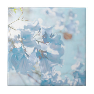 Pastel Soft Blue Jacaranda Tree Flowers Blossom Tegeltje