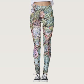 Pastel Succulent Echeveria Garden Leggings
