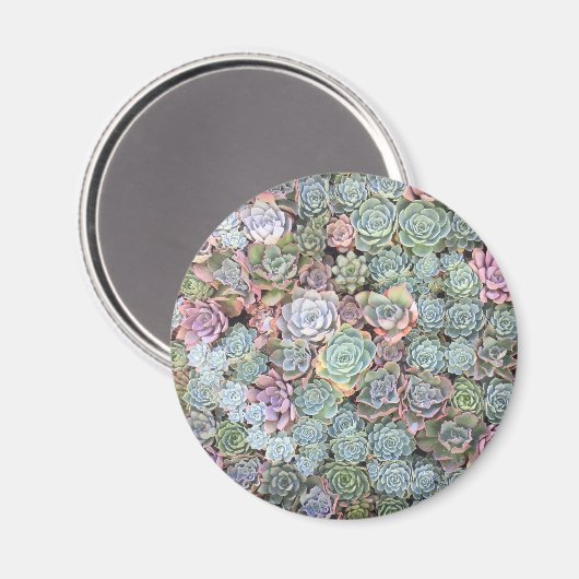 Pastel Succulent Garden Magnet (Voorkant / Achterkant)