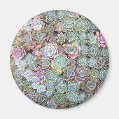 Pastel Succulent Garden Magnet (Voorkant)