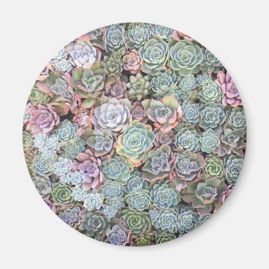 Pastel Succulent Garden Magnet (Voorkant)