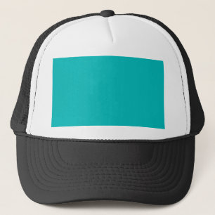Pastel Teal Trucker Pet