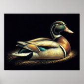 Pastel tekening Mallard Duck Decoy Poster (Voorkant)