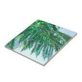 Pastel Theme Jacaranda Tree Leaves Tegeltje (Zijkant)