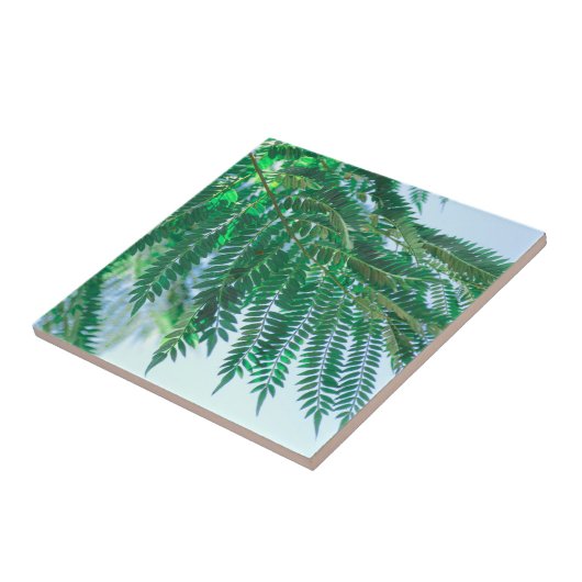 Pastel Theme Jacaranda Tree Leaves Tegeltje (Zijkant)