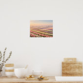 Pastel Tulip Fields Poster - Spring Flower (Keuken)