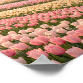 Pastel Tulip Fields Poster - Spring Flower (Hoek)
