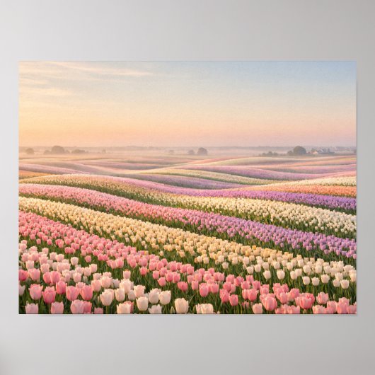 Pastel Tulip Fields Poster - Spring Flower (Voorkant)