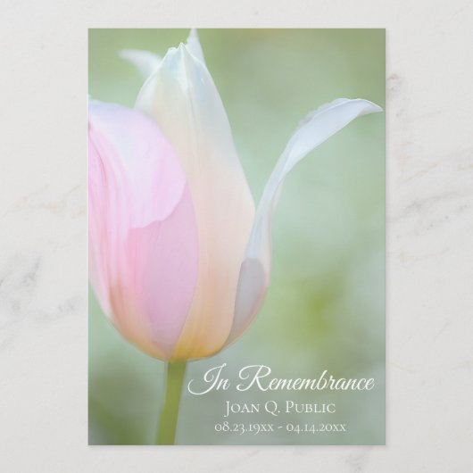Pastel Tulip Spring begrafenis herdenkingsdienst Programmakaart (Voorkant)