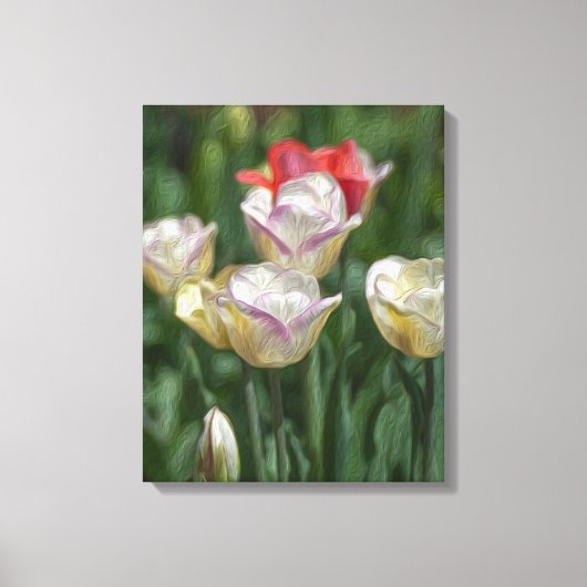 Pastel Tulips Canvas Afdruk (Voorkant)