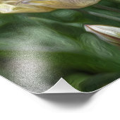 Pastel Tulips Foto Afdruk (Hoek)