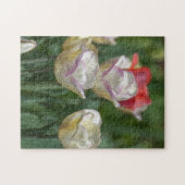 Pastel Tulips Legpuzzel (Horizontaal)