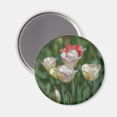 Pastel Tulips Magneet (Voorkant / Achterkant)