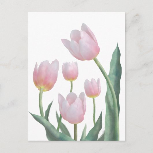 Pastel Tulp Bloemendesign Briefkaart (Voorkant)