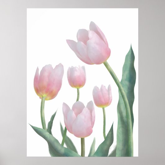 Pastel Tulp Bloemendesign Poster (Voorkant)
