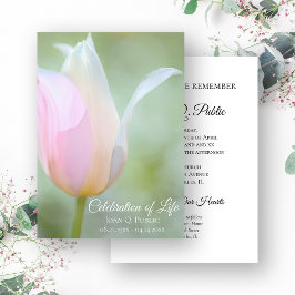 Pastel Tulp Lente Viering van het Leven Begrafenis Kaart