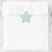 Pastel Turquoise Groen en Wit Patroon Ster Sticker (Tas)