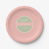 Pastel Vinyl Record Birthday Paper Plates Papieren Bordje (Voorkant)